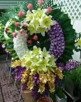 HV216 Mẫu hoa tang đẹp phường An Hòa Rạch Giá Kiên Giang