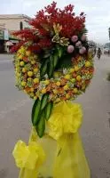 HV213 Đặt hoa viếng đám tang phường 2 Cai Lậy Tiền Giang